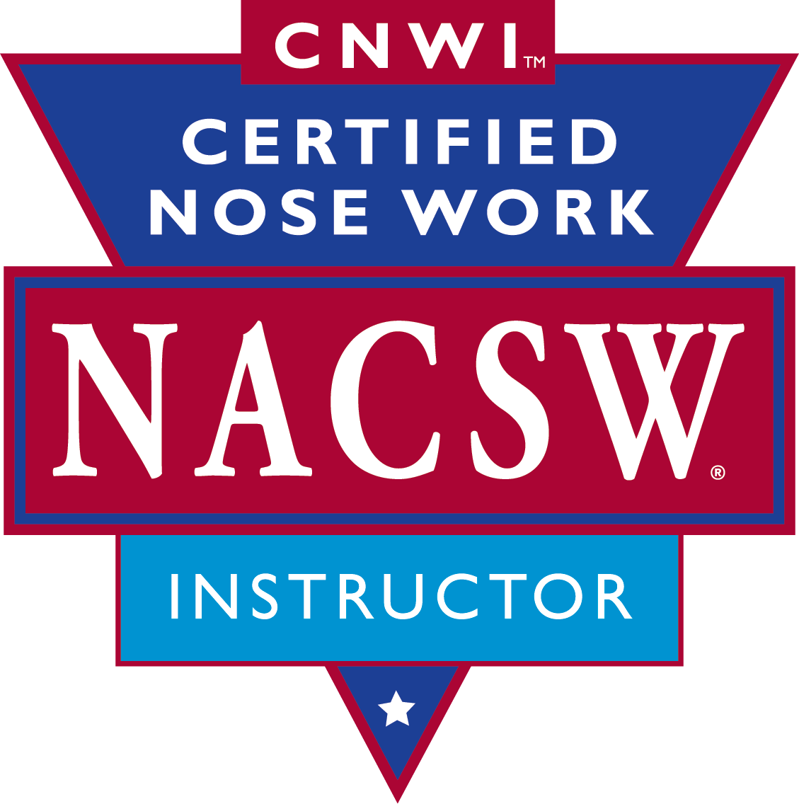NACSW CNWI logo 2021